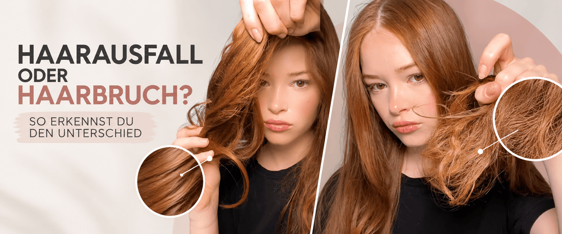 HAARAUSFALL ODER HAARBRUCH? SO ERKENNST DU DEN UNTERSCHIED - Rossen