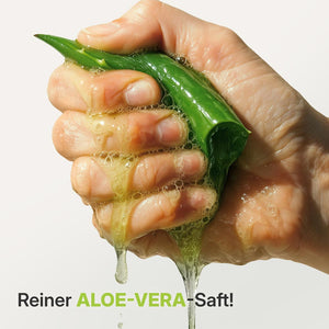 Aloe Vera Gelreiniger ohne Wasser mit AHA - Fruchtsäuren | Rossen Kosmetik