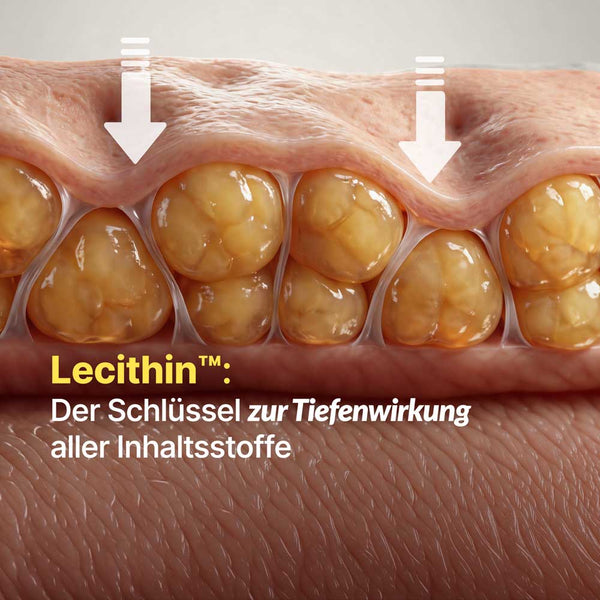 Cellu Expert Anti - Cellulite Creme mit Massagekopf | Rossen Kosmetik